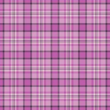 Tartan plaid fabric pattern with a structured check arrangement and a woven f Stock Illustration