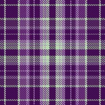 Tartan Plaid Pattern. Check Plaid. Stock Illustration