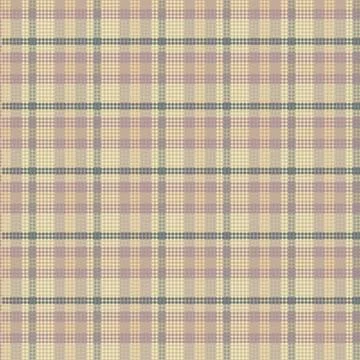 Tartan Plaid Pattern. Check Plaid. Stock Illustration