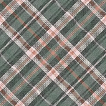 Tartan Plaid Pattern. Check Plaid. Stock Illustration