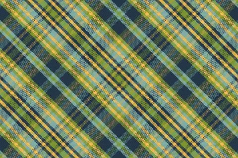 Tartan Plaid Pattern. Check Plaid. Stock Illustration
