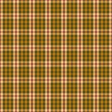 Tartan Plaid Pattern. Check Plaid. Stock Illustration