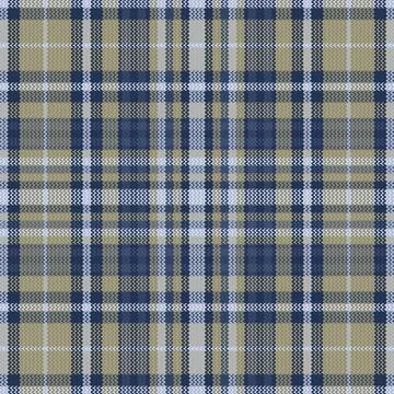 Tartan plaid pattern with texture and wedding color. Stock Illustration