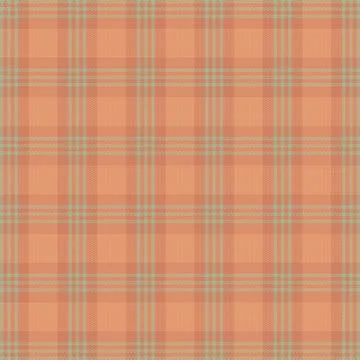 Tartan plaid pattern with texture and nature color. Stock Illustration