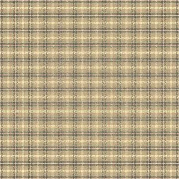 Tartan plaid pattern with texture and nature color. Stock Illustration