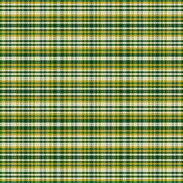 Tartan plaid pattern with texture and nature color. Stock Illustration