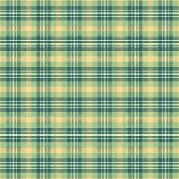 Tartan plaid pattern with texture and nature color. Stock Illustration
