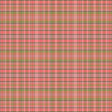 Tartan plaid pattern with texture and nature color. Stock Illustration