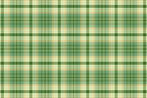 Tartan plaid pattern with texture and nature color. Stock Illustration