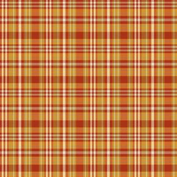 Tartan plaid pattern with texture and nature color. Stock Illustration