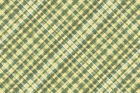 Tartan plaid pattern with texture and nature color. Stock Illustration