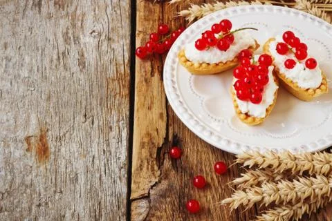 Tartlets with cottage cheese Stock Photos