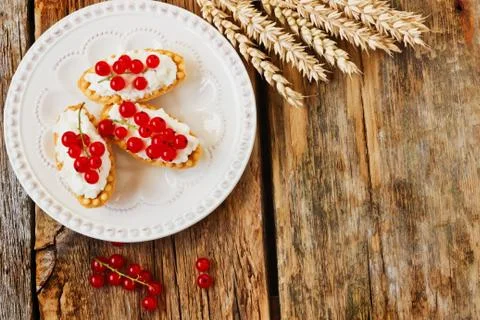 Tartlets with cottage cheese Stock Photos