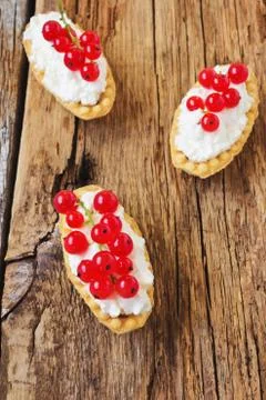 Tartlets with cottage cheese Stock Photos
