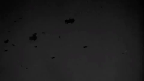 The Task Force 58 in the battle for Okinawa. June 1945  (26) Video stock 235863884