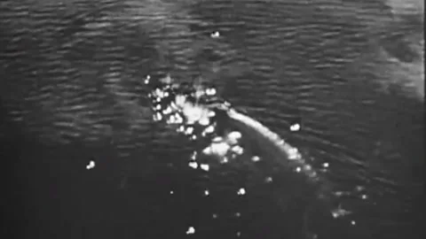 The Task Force 58 in the battle for Okinawa. June 1945  (8) Video stock 235864727