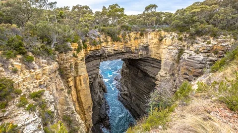 The Tasman Arch Stock Footage 115774419