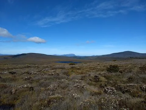 Tasman outback Stock Photos