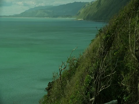 Tasman Sea Cliffs Stock Footage 79039451