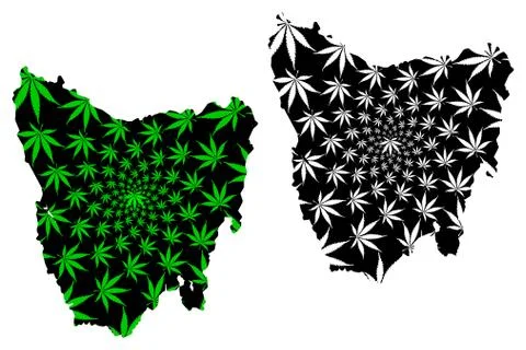 Tasmania - map is designed cannabis leaf Stock Illustration