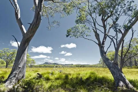 Tasmania Stock Photos