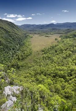 Tasmania state forest Stock Photos