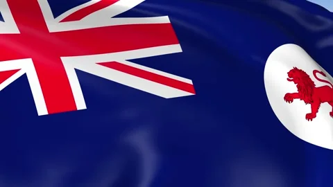 Tasmania State Waving Flag Background Loop Stock Footage 317849323
