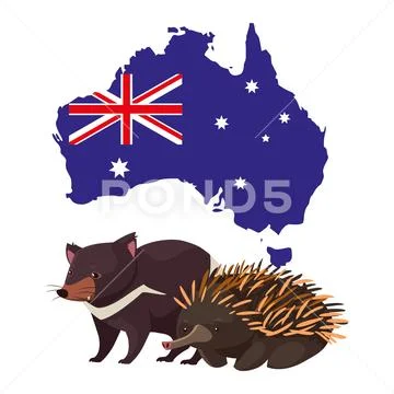 Tasmanian devil and echidna with map of australia in the background ...