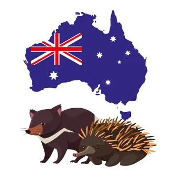 Tasmanian devil and echidna with map of australia in the background 库存插图