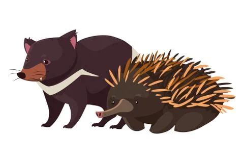Tasmanian devil and echidna on white background Stockillustratie