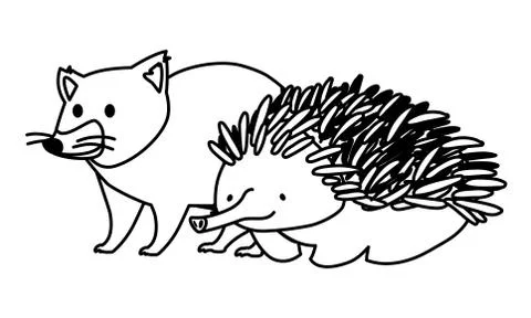 Tasmanian devil and echidna on white background Illustrazione stock
