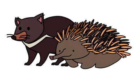 Tasmanian devil and echidna on white background Stock Illustration