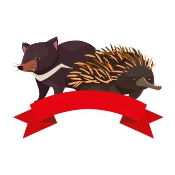Tasmanian devil and echidna on white background Stock Illustration
