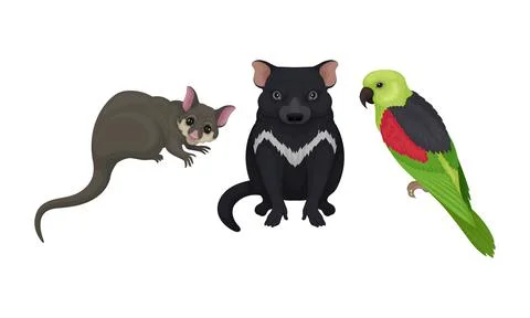 Tasmanian Devil and Sugar Glider as Australian Animals Vector Set Stock Illustration