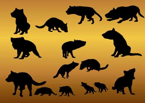 Tasmanian devil animal silhouettes vector Stock Illustration