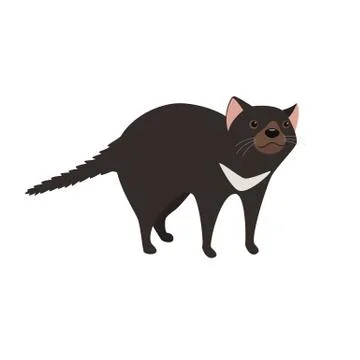 Tasmanian devil with black fur vector illustration Stock Illustration