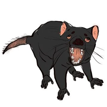 Tasmanian devil Stock Illustration