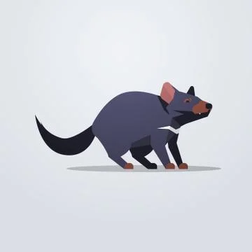 Tasmanian devil rat icon cute cartoon wild animal symbol with shadow wildlife Stock Illustration