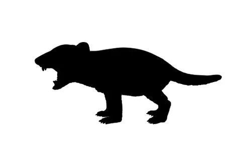 Tasmanian devil vector silhouette illustration Stock Illustration