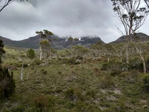 Tasmanian outback Stock Photos