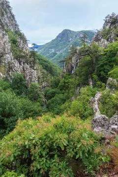Tasnei gorge Stock Photos