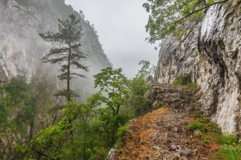 Tasnei gorge Stock Photos