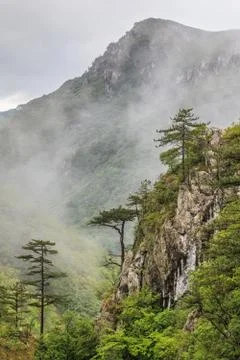 Tasnei gorge Stock Photos