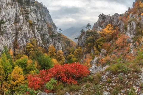 Tasnei gorge Stock Photos