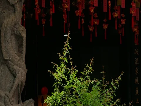 Tassels in Singapore temple2 Stock Footage 80216974