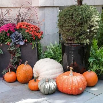 Tasteful Fall Decorations Stock Photos