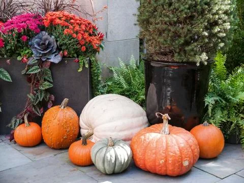 Tasteful Fall Decorations Stock Photos