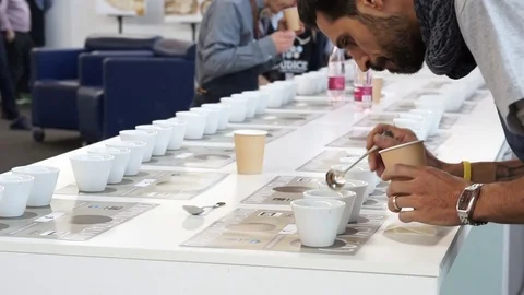 Taster of coffee to the world competition Stock Footage 72290068