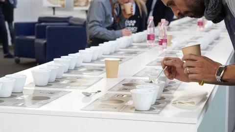 Taster of coffee to the world competition Stock Footage 72353573