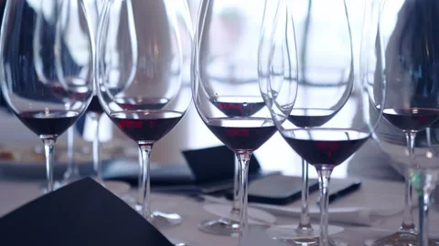 Tasting different types of exclusive aged red wine on special event in Stock-Footage 317380989